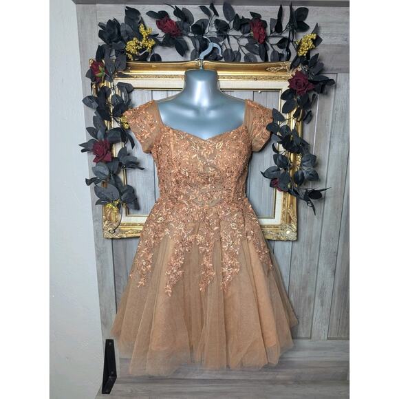 Other Dresses & Skirts - ✨🤎 Fairycore Bronze Corset Dress Glitter Tulle Mini Cottagecore Formal Size 4